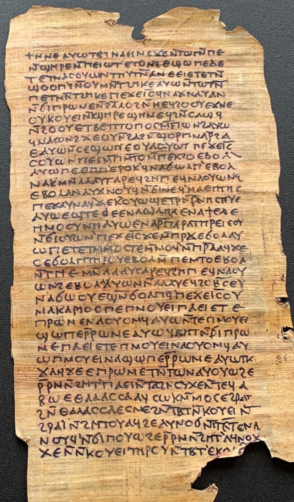 A framed display of two ancient-looking parchment scrolls filled with dense text.
