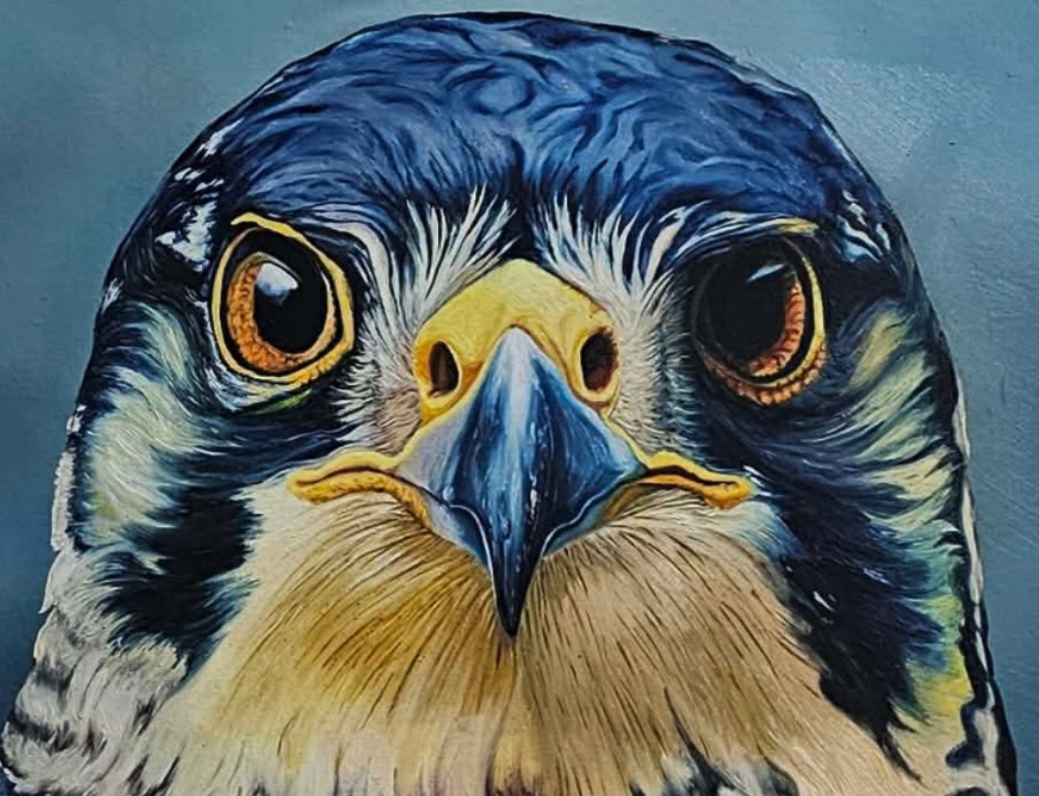 A realistic portrait of a bird with intense eyes and detailed feathers against a dark background.