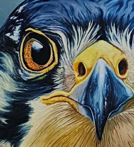 A realistic portrait of a bird with intense eyes and detailed feathers against a dark background.