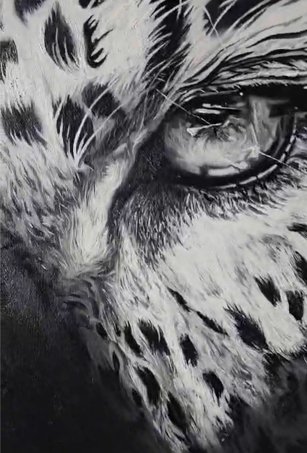 A striking black-and-white portrait of two leopards merging into a single face.