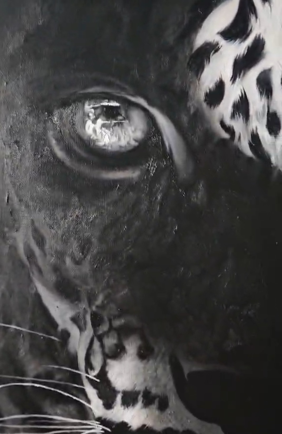 A striking black-and-white portrait of two leopards merging into a single face.
