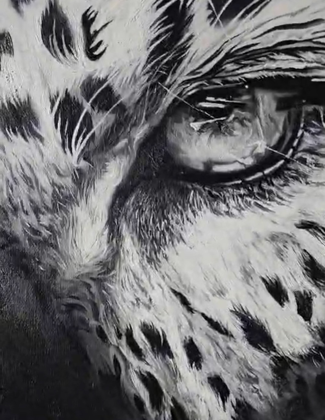 A striking black-and-white portrait of two leopards merging into a single face.
