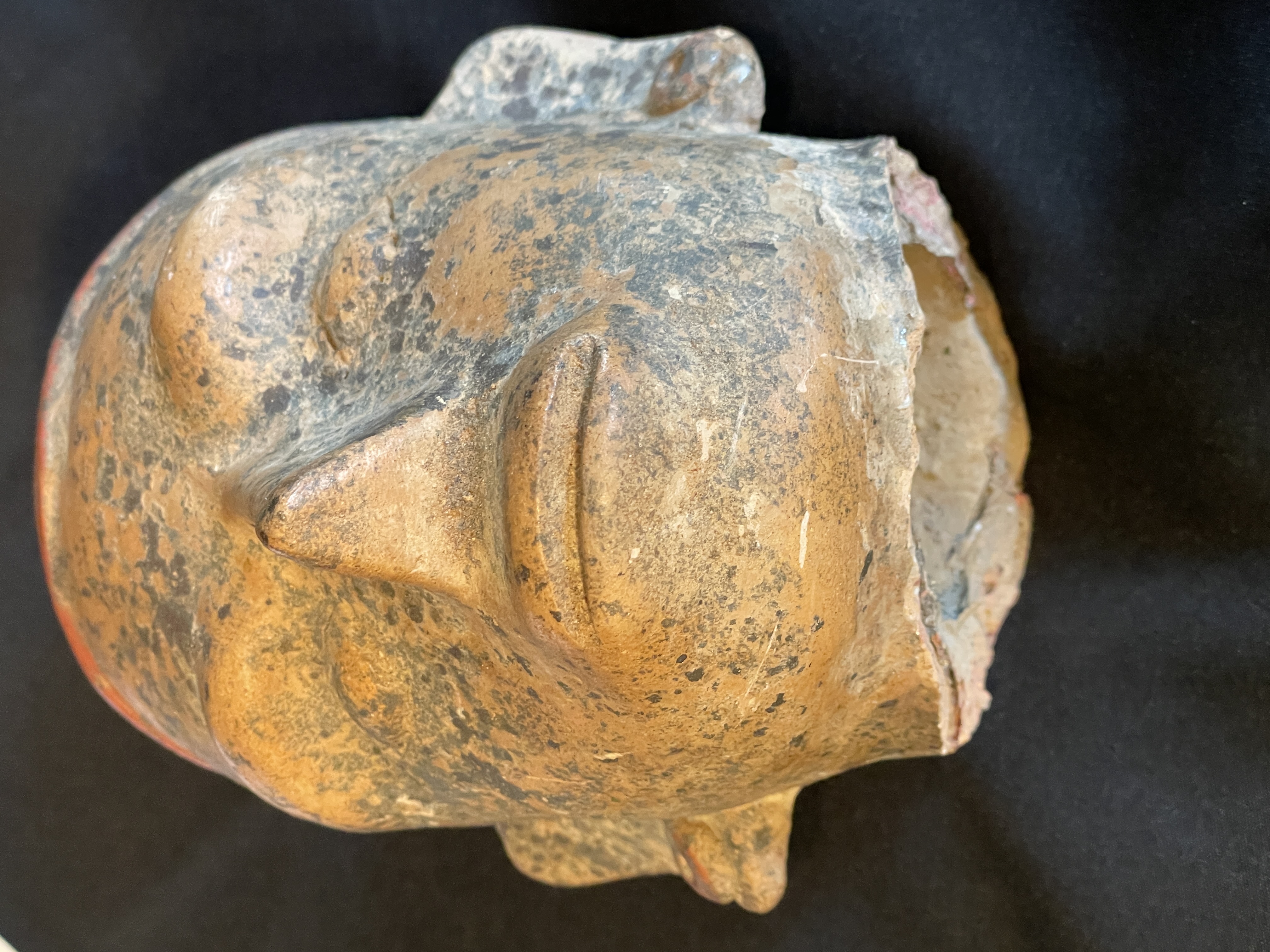 A ceramic head fragment displayed in a glass case within an art gallery.