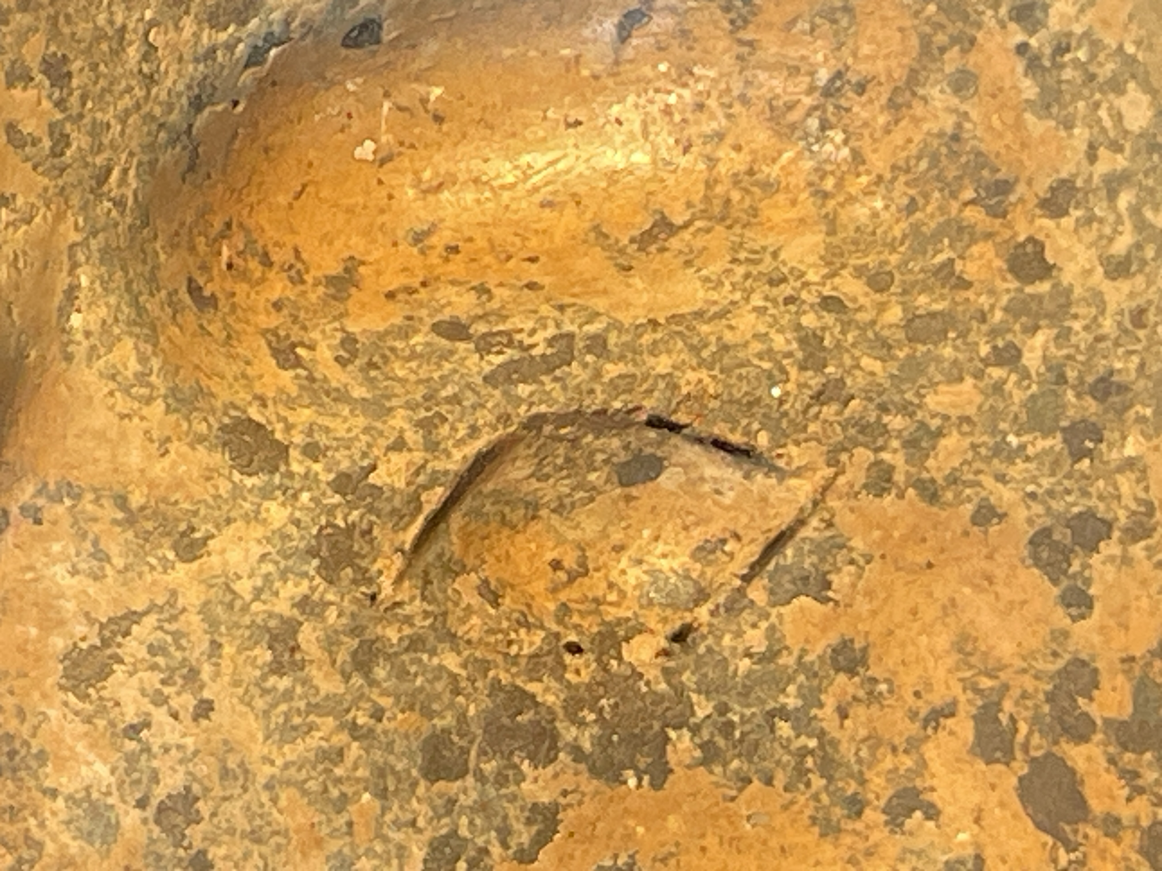 A ceramic head fragment displayed in a glass case within an art gallery.