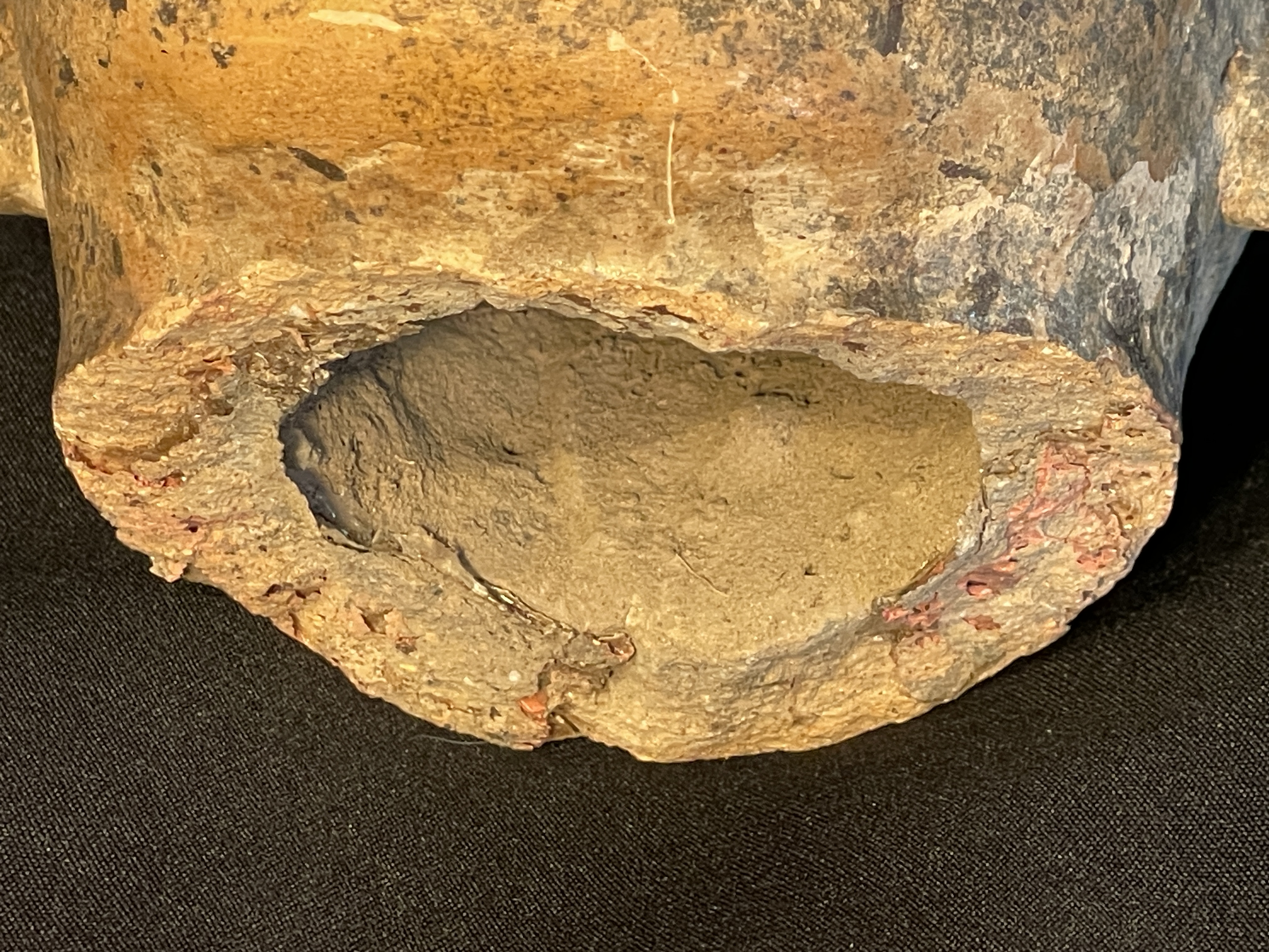 A ceramic head fragment displayed in a glass case within an art gallery.