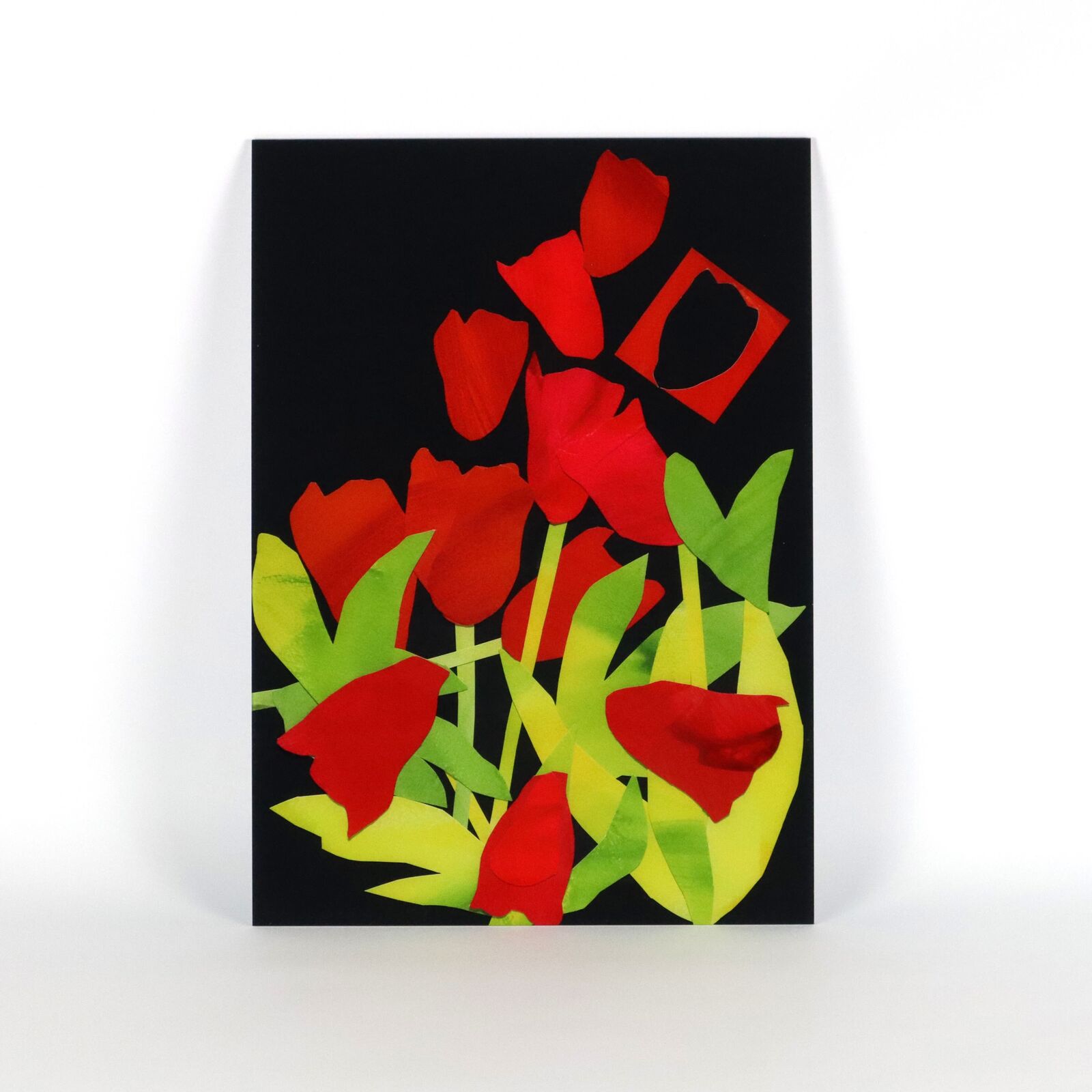 A set of six paintings of flowers on a white wall.