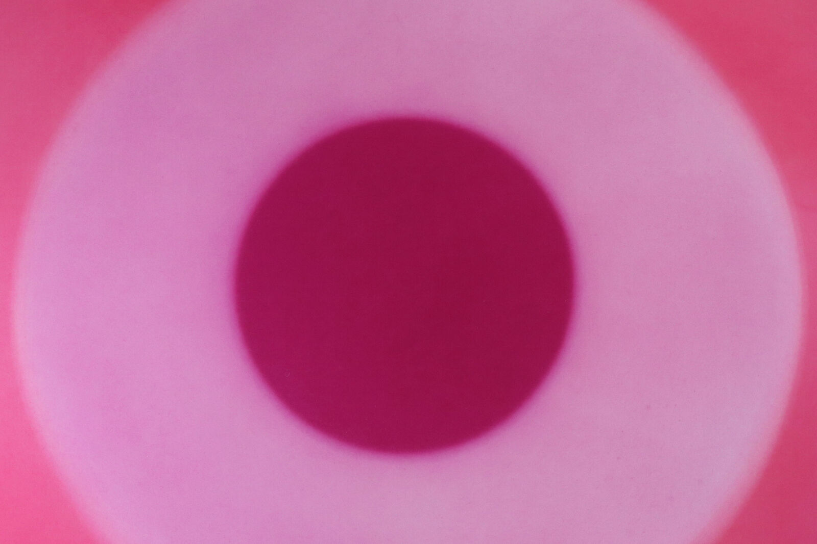 A minimalist abstract composition featuring concentric circles in shades of red and pink.