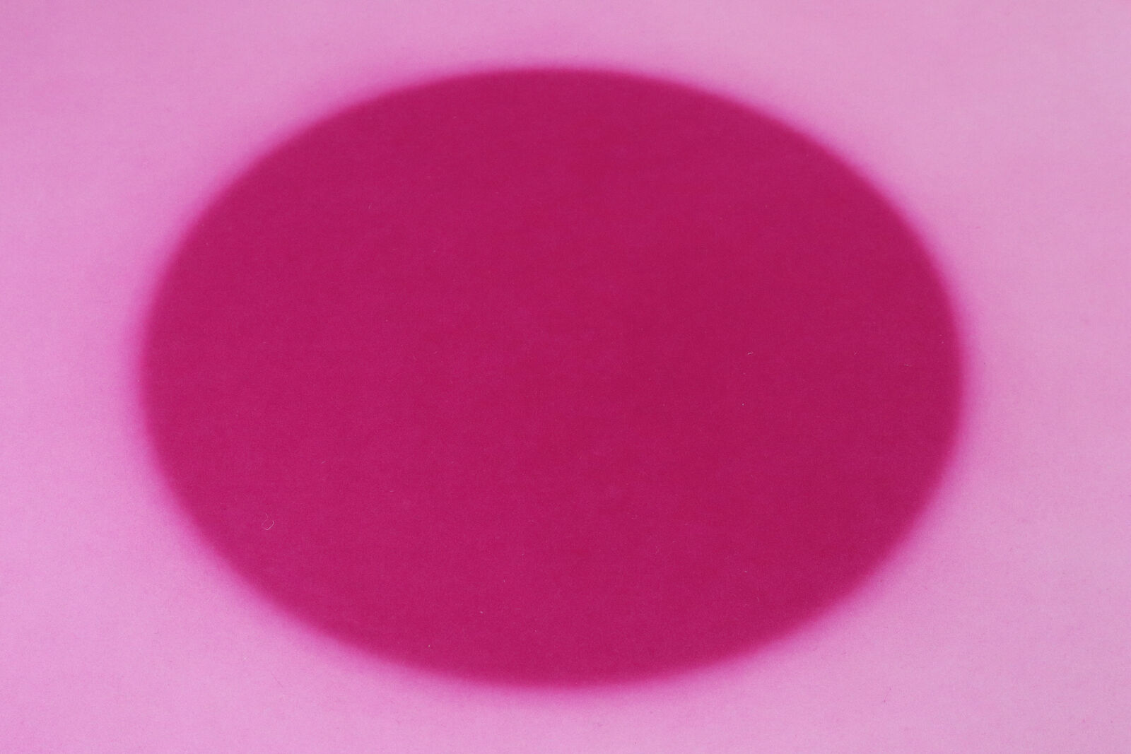 A minimalist abstract composition featuring concentric circles in shades of red and pink.