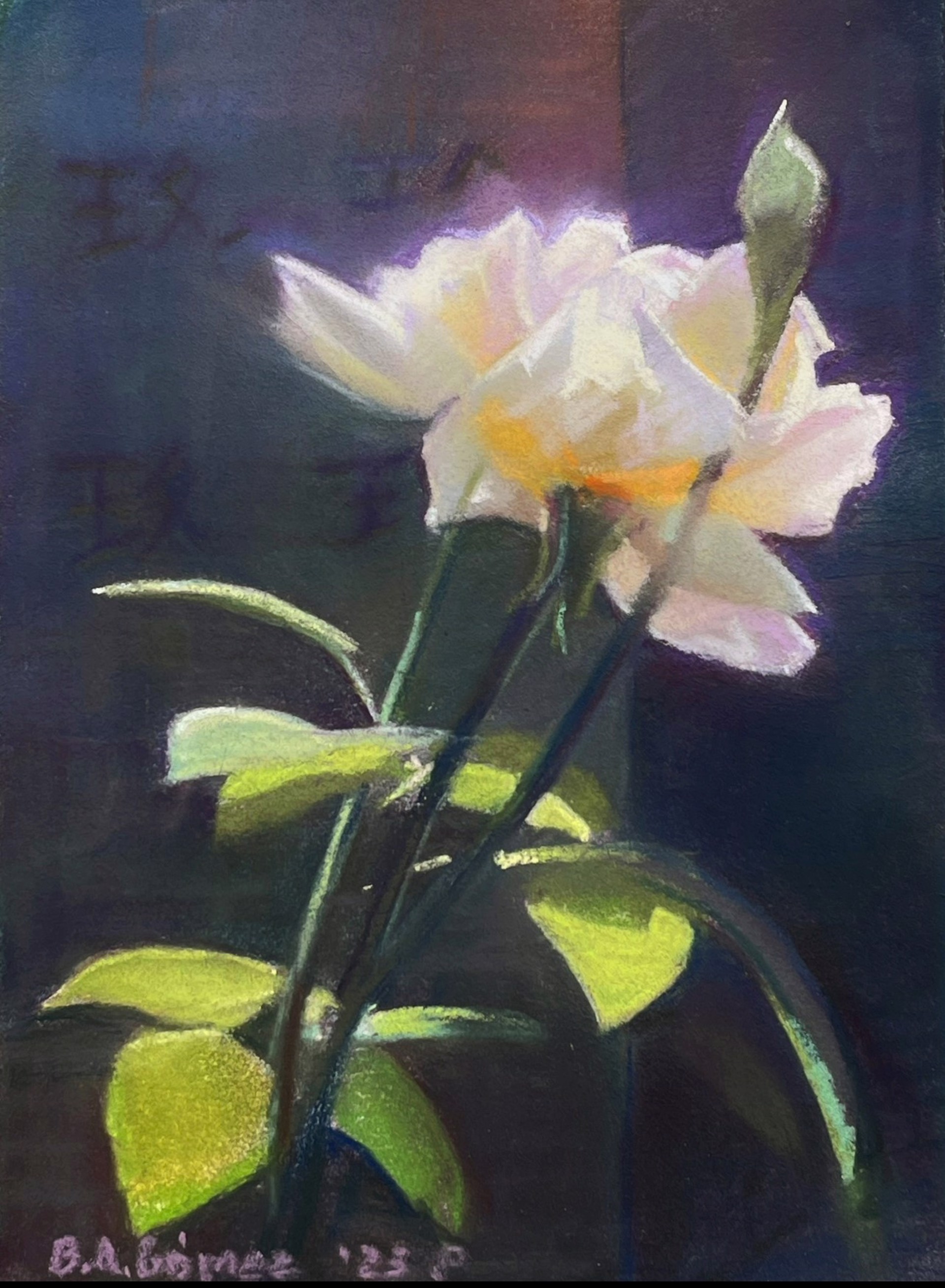 A soft-focus oil painting of a pale rose with a bud, set against a dark, moody background.