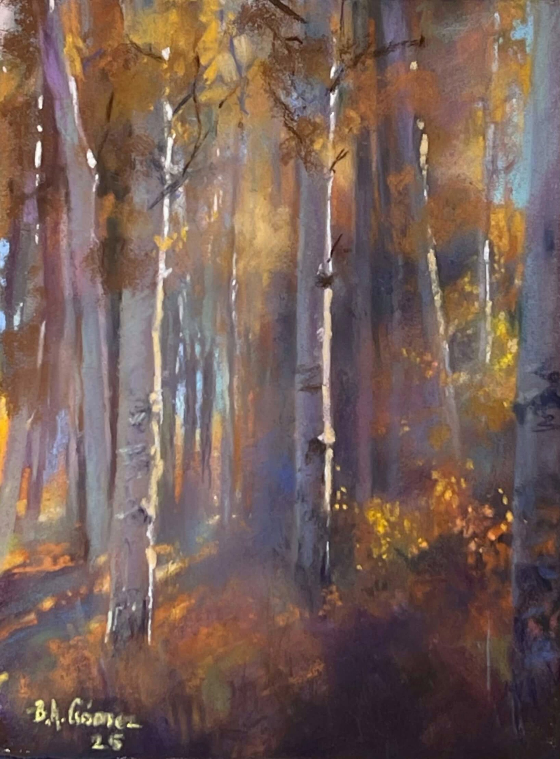 A moody forest scene with tall white tree trunks and golden autumn foliage.
