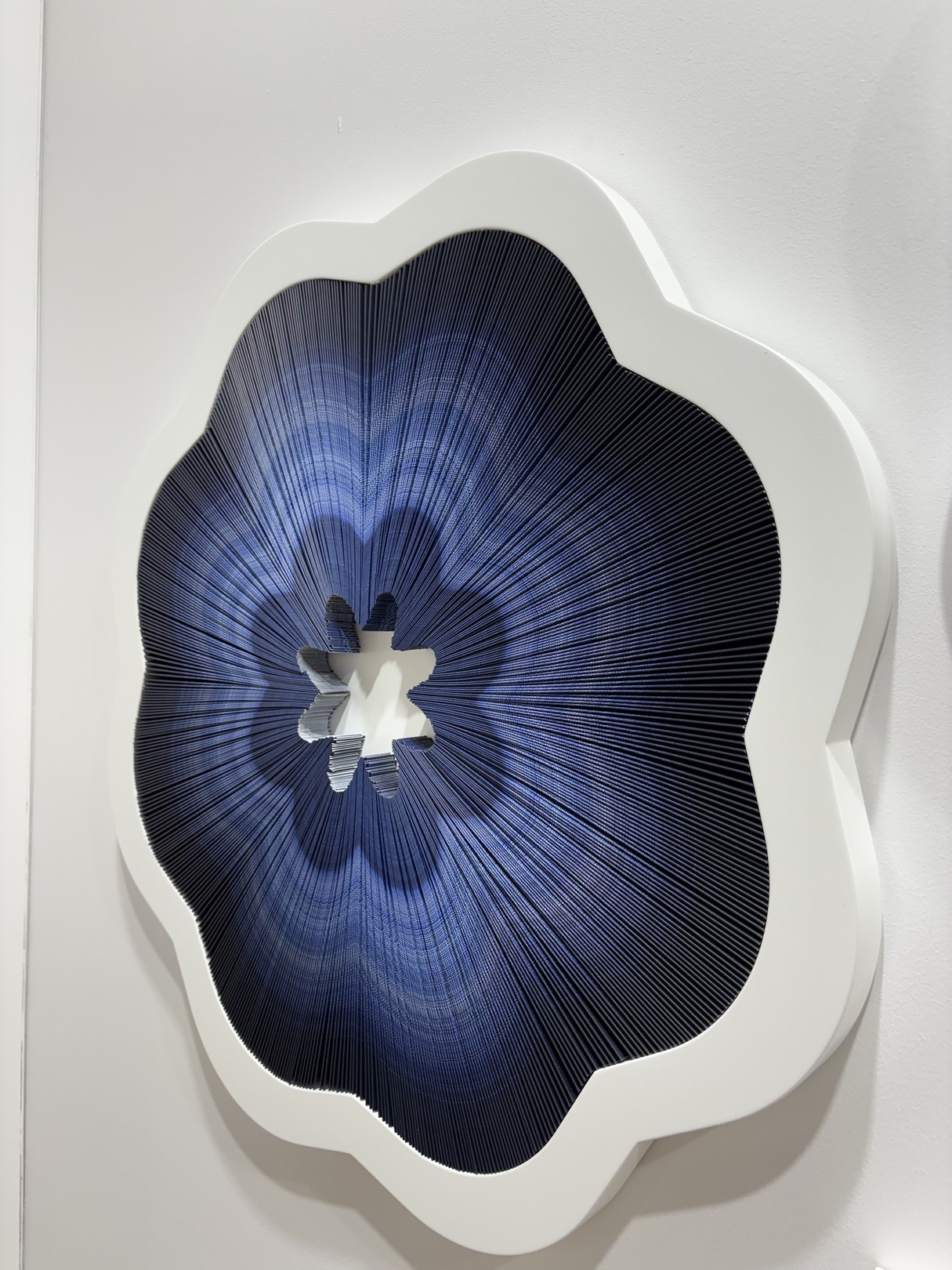 A blue and white flower on a white wall.