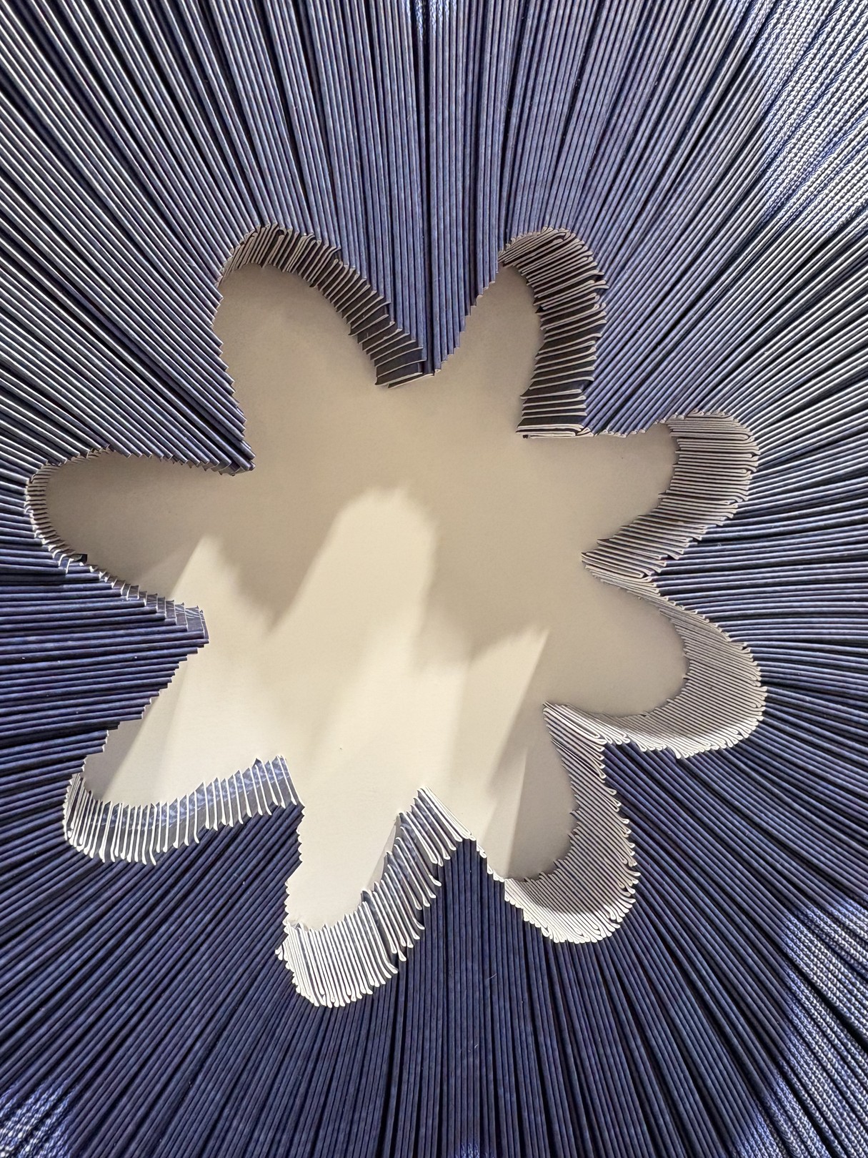 A blue and white flower on a white wall.