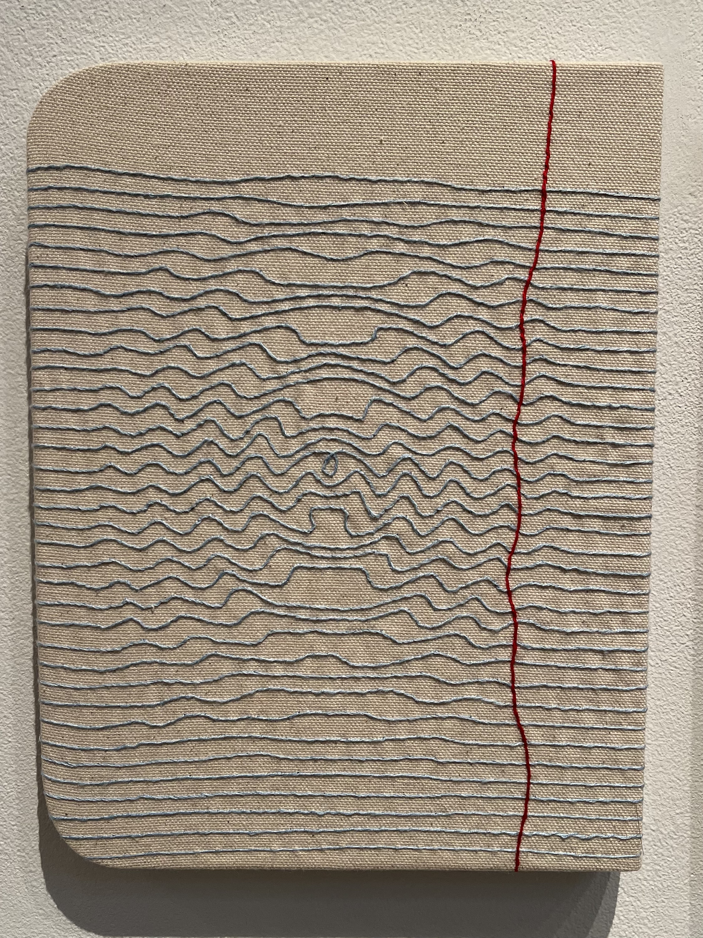 Notes for String Theory by Candace Hicks, 2021