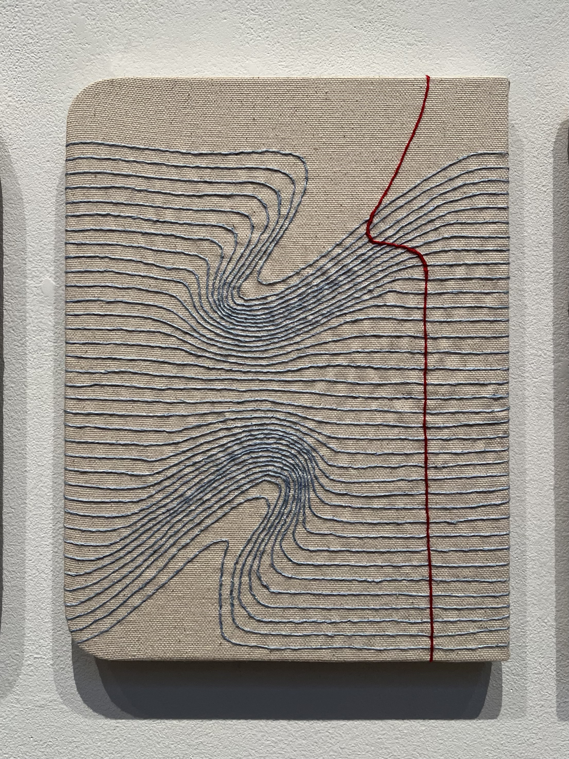 A piece of art hanging on a wall with a red line on it.