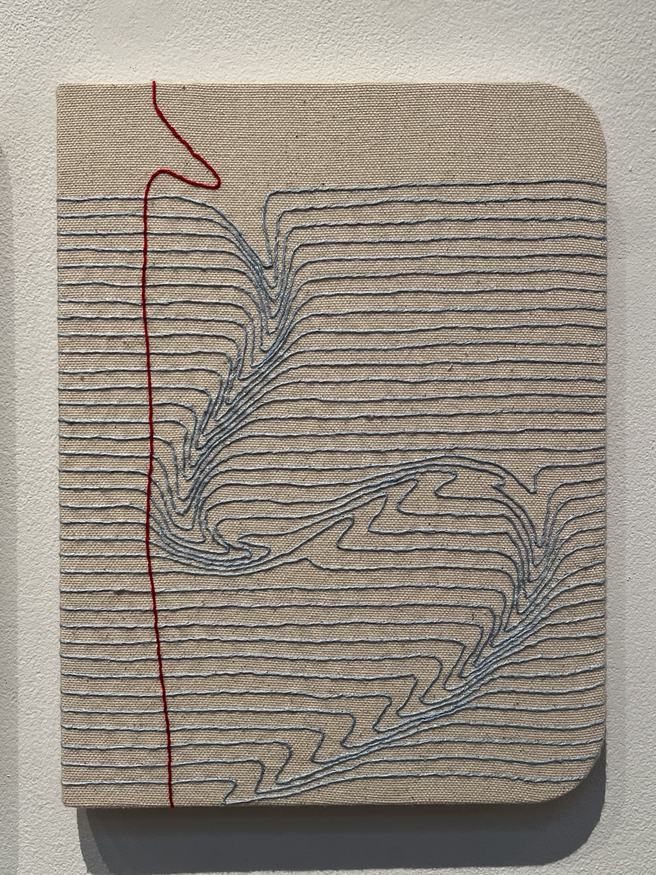 Notes for String Theory by Candace Hicks, 2021