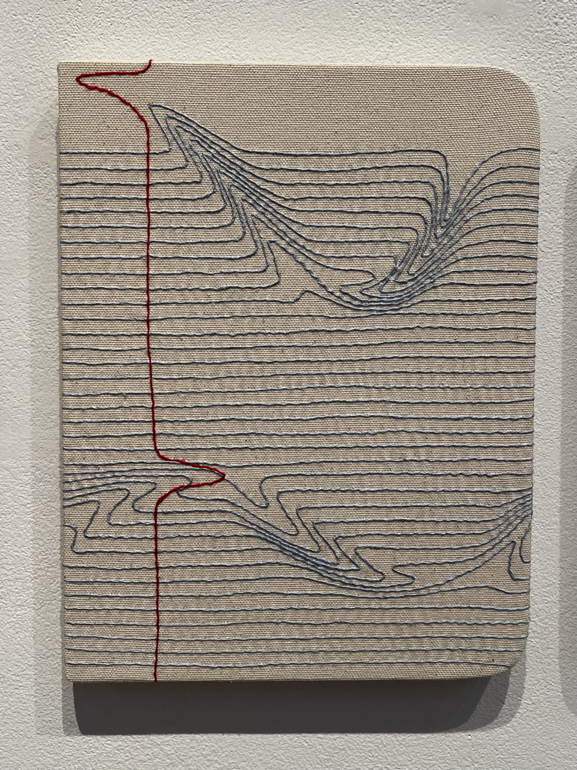 Notes for String Theory by Candace Hicks, 2021