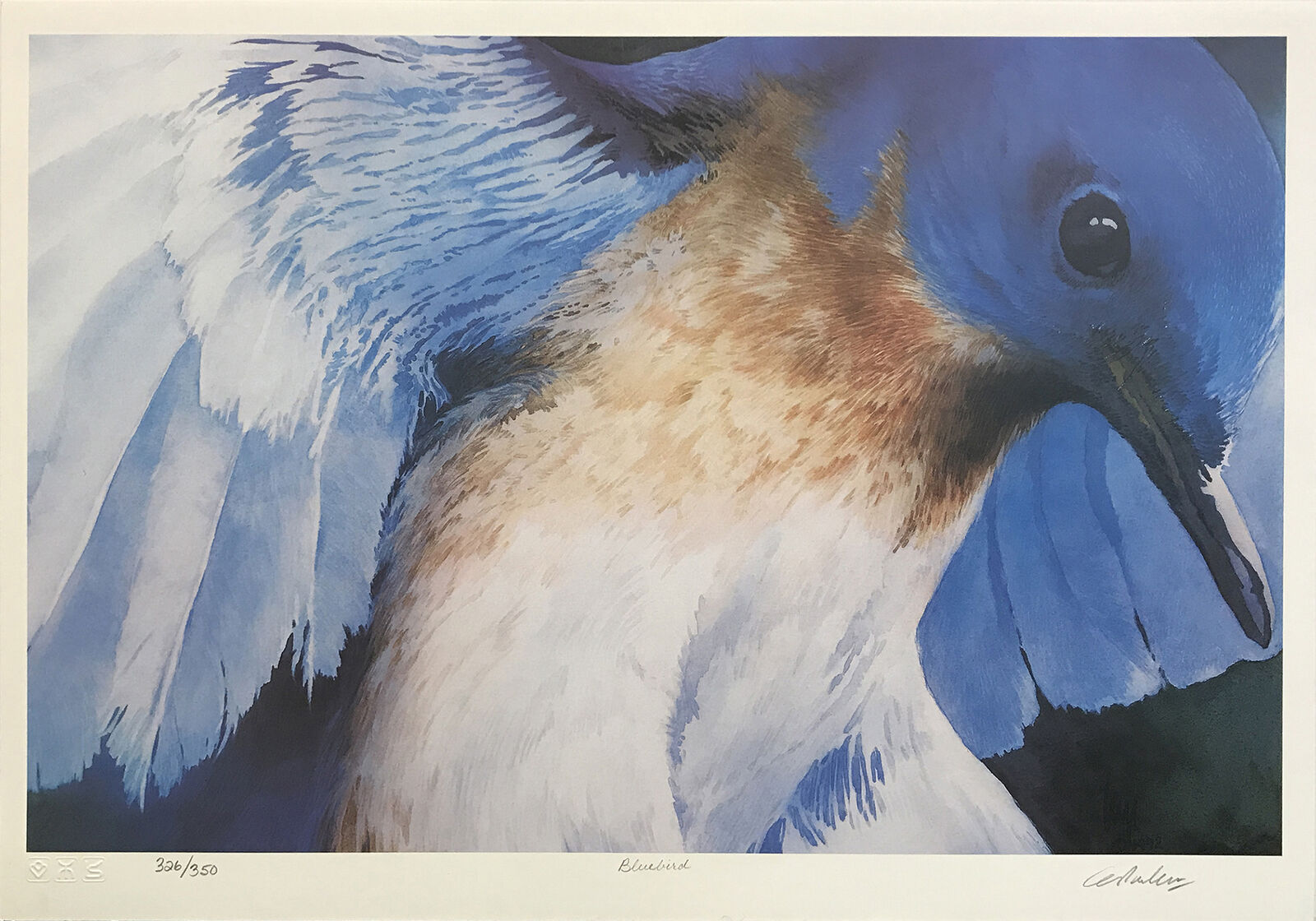 A painting of a blue bird with its wings spread.