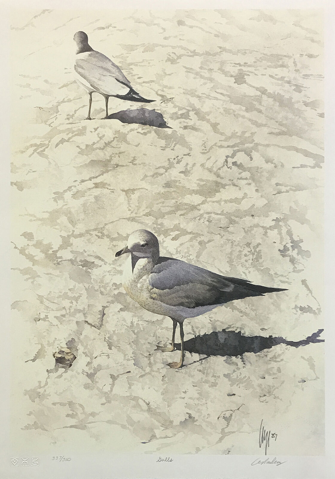 A painting of two seagulls standing on a sandy beach. 