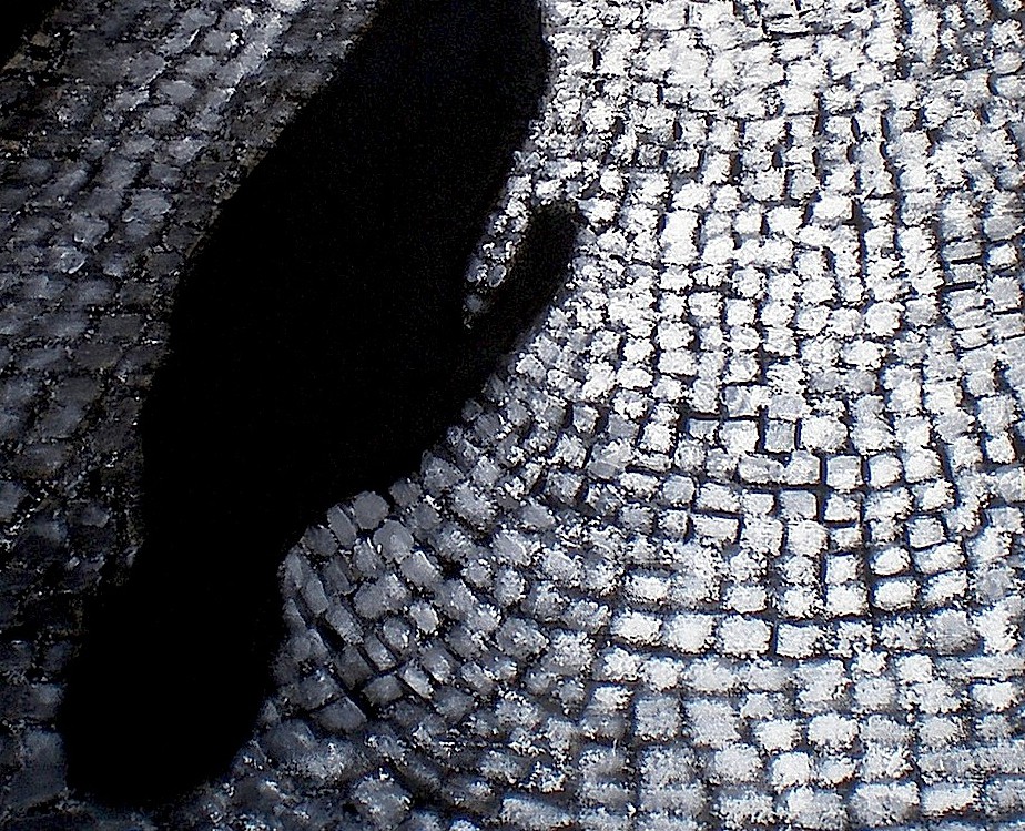 A shadow of a person walking on a cobblestone street.