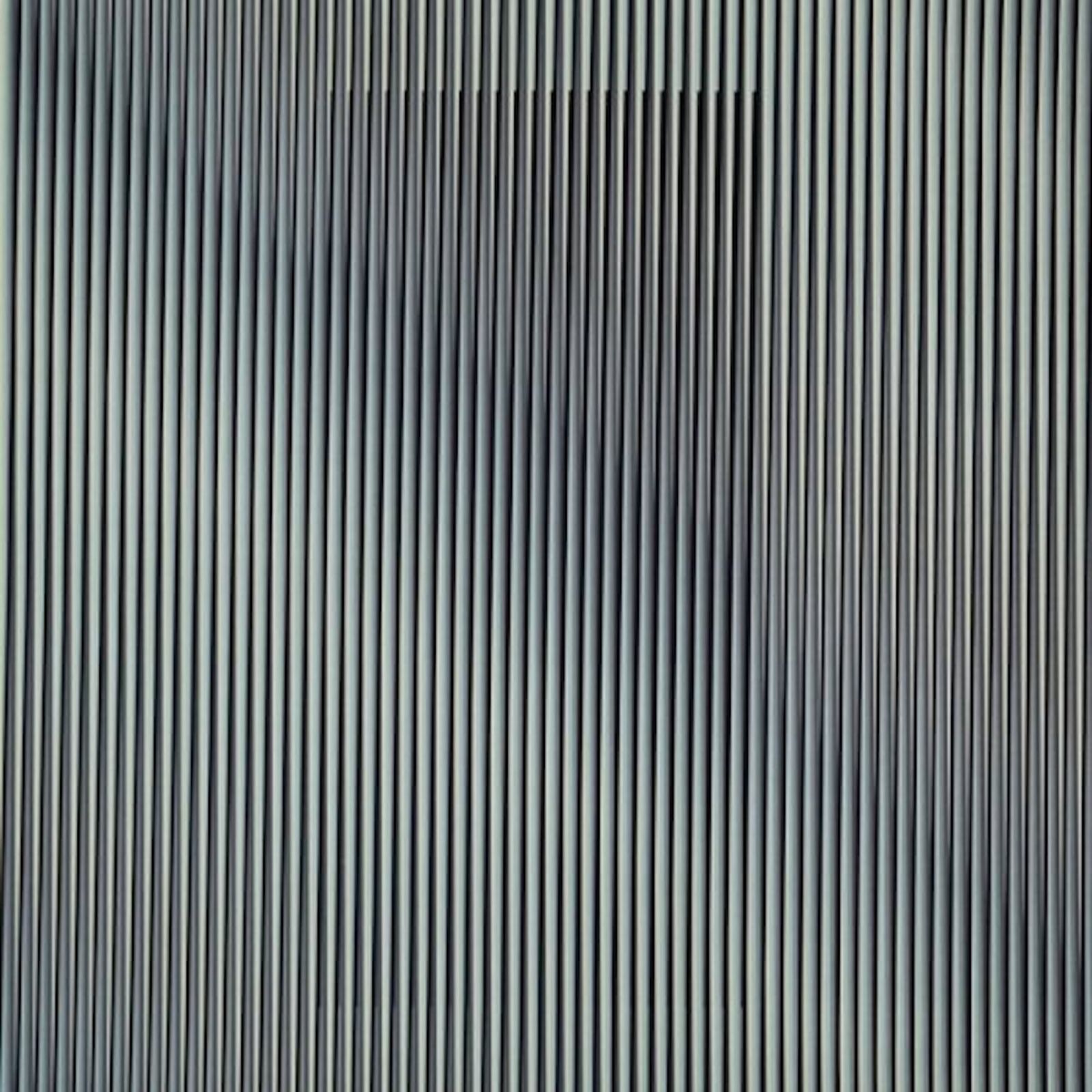 Couleur Additive Gris Dos by Carlos Cruz-Diez, 2017