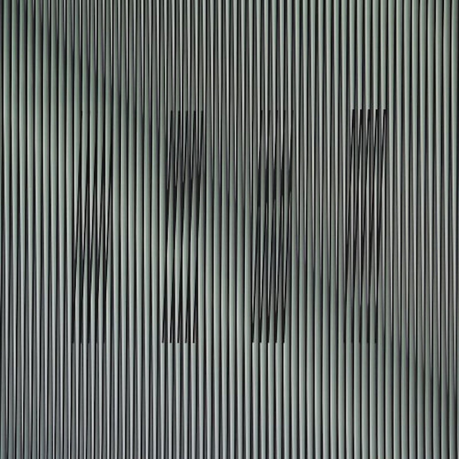 Artwork by Carlos Cruz-Diez