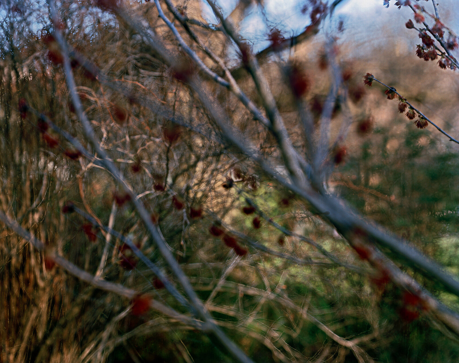 Artwork by Carolyn Monastra, lovely, dark and deep #18, Made of Digital chromogenic print 