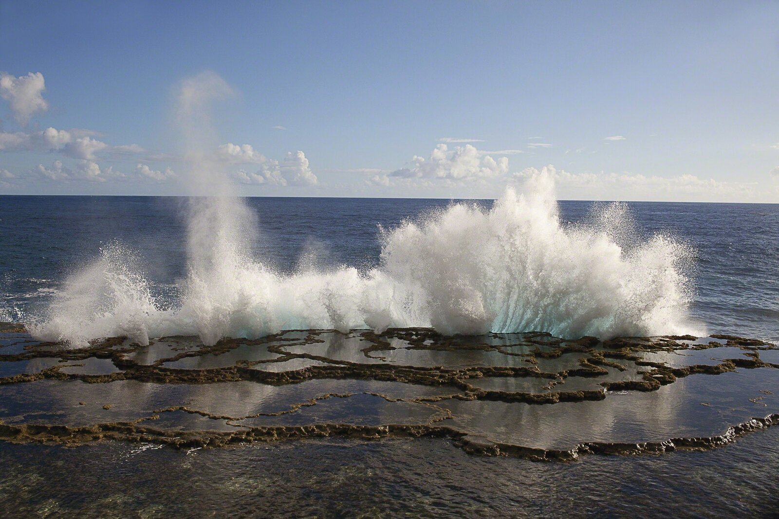 Artwork by Carolyn Monastra, Blowhole (#1), Made of C-print 