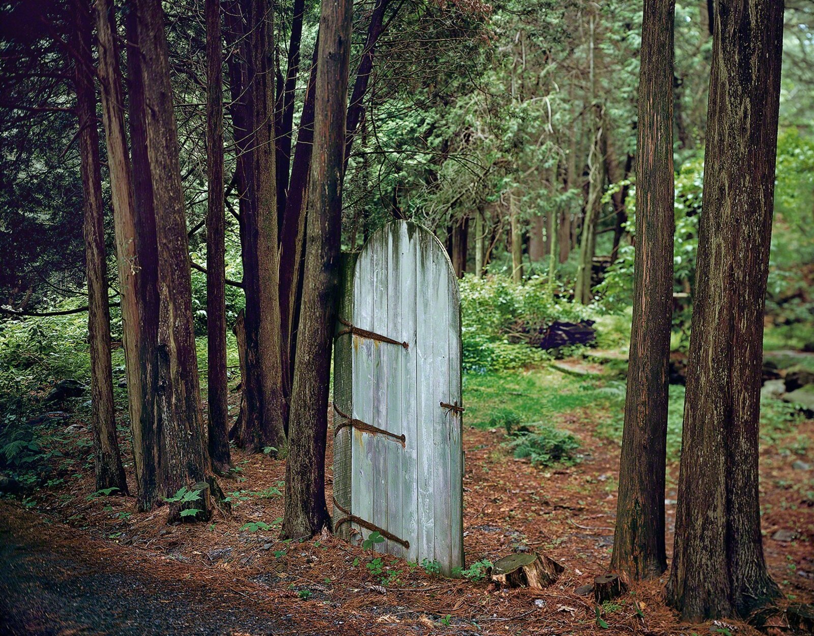 Carolyn Monastra | The Gate (2001) | MutualArt