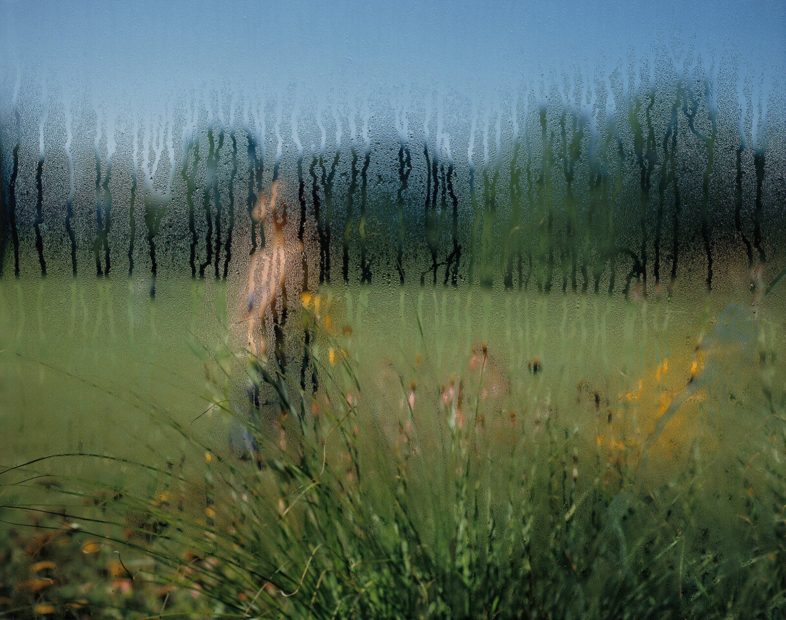 Wonderglass by Carolyn Monastra, 2000