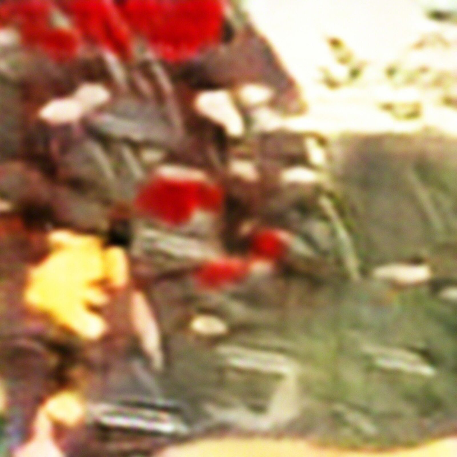 A blurry image of a person standing in front of a tree.