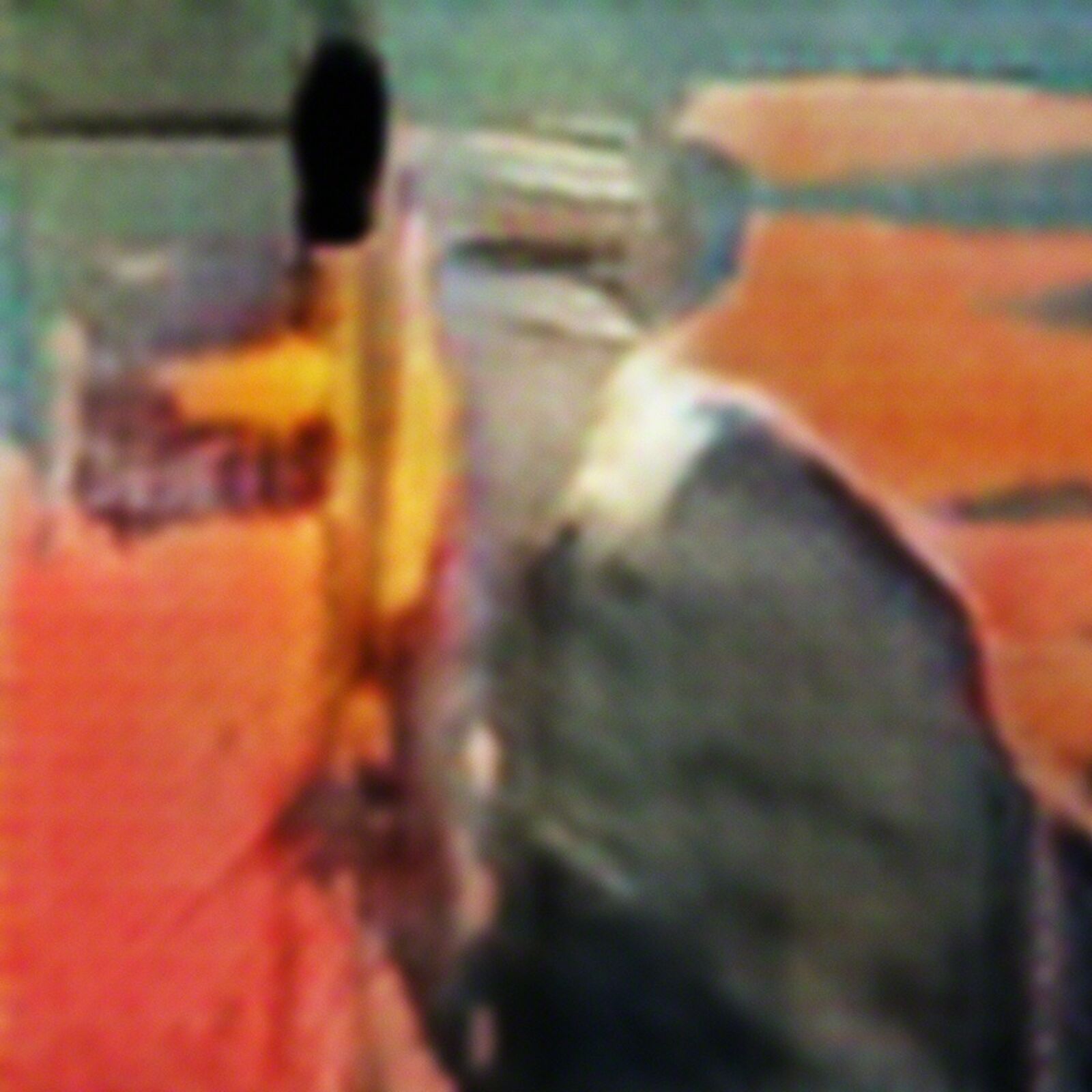 A blurry image of a man and a dog in a field.