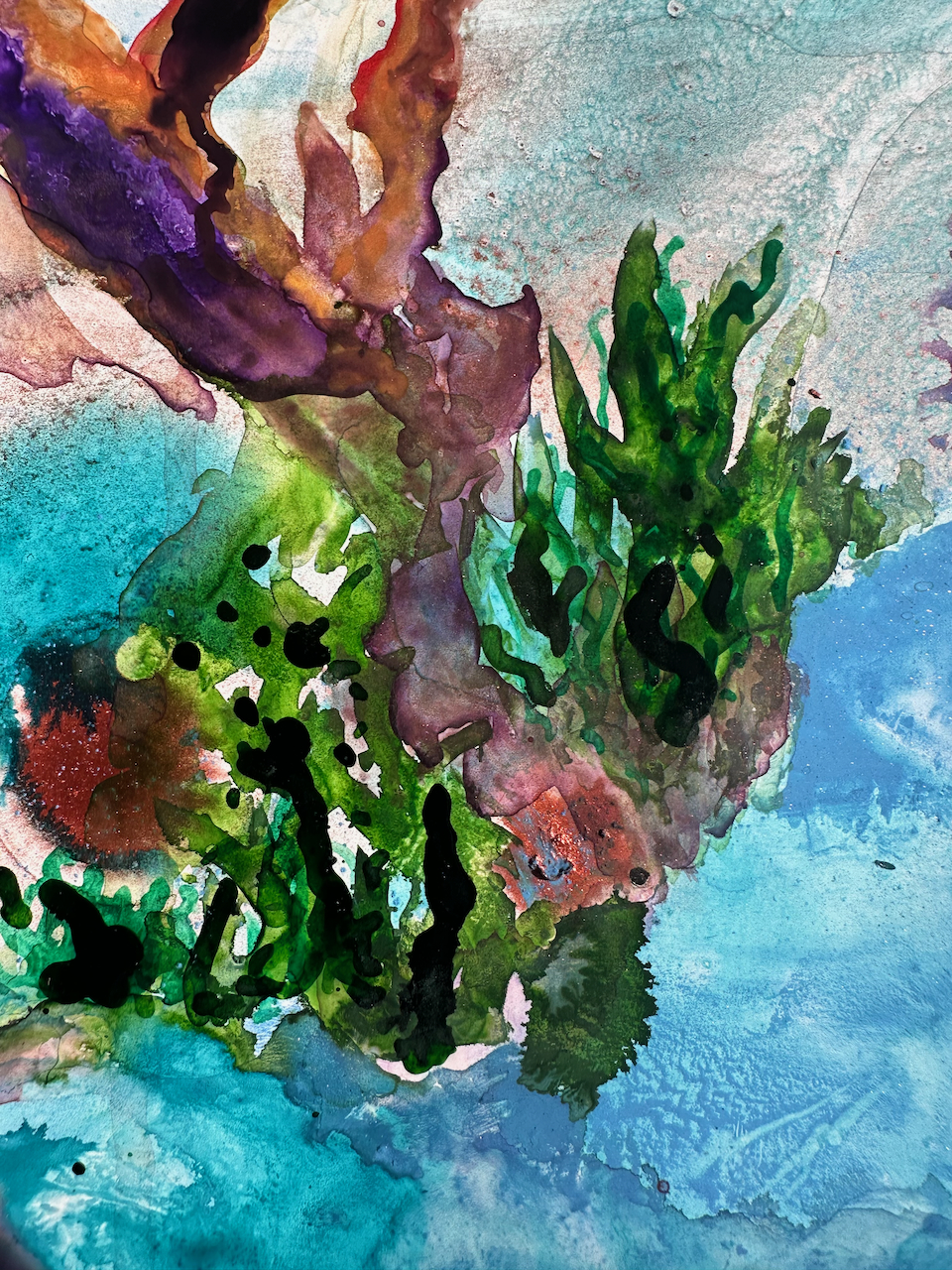 A vibrant underwater scene featuring colorful coral formations and marine life.