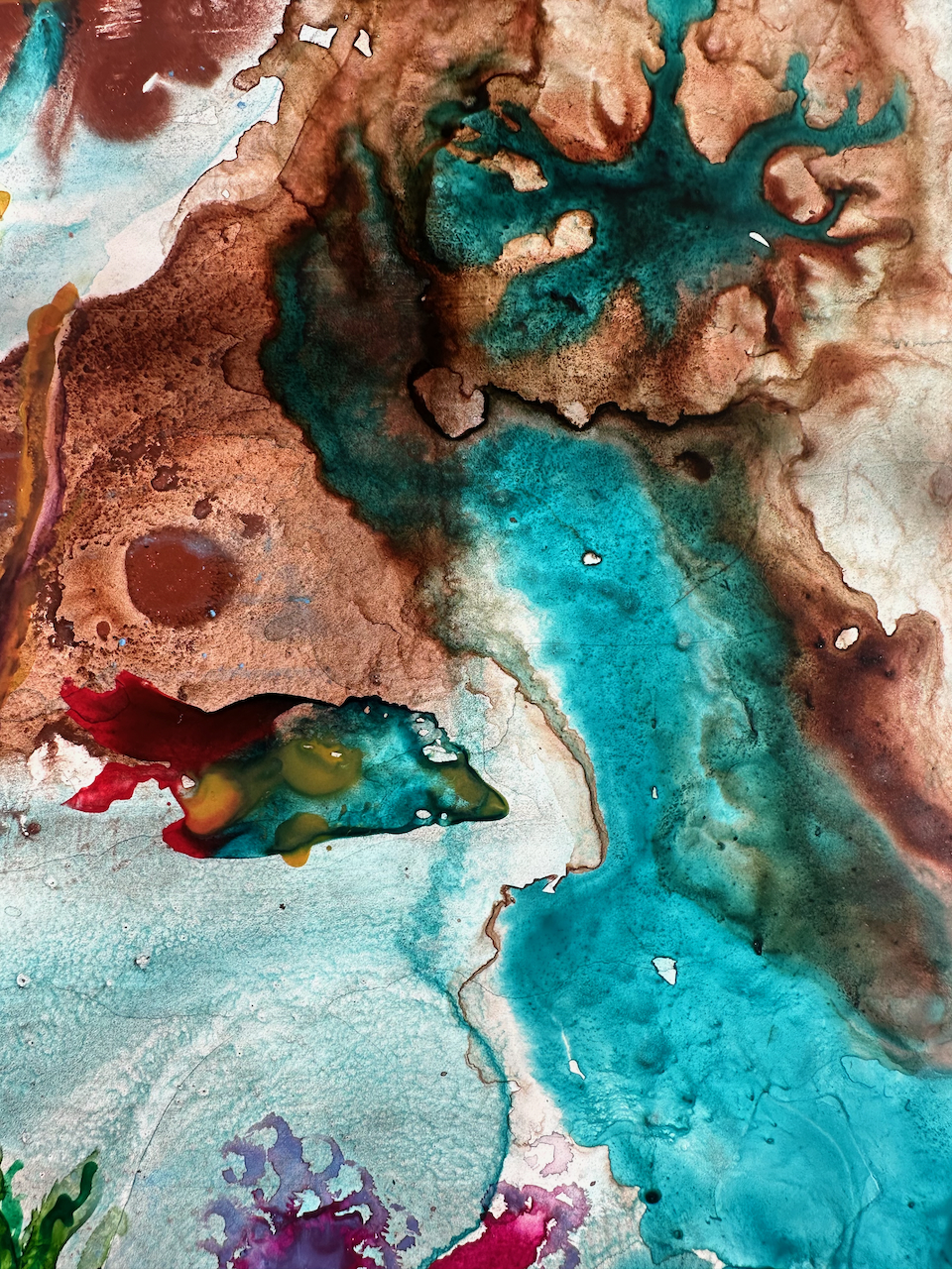 A vibrant underwater scene featuring colorful coral formations and marine life.
