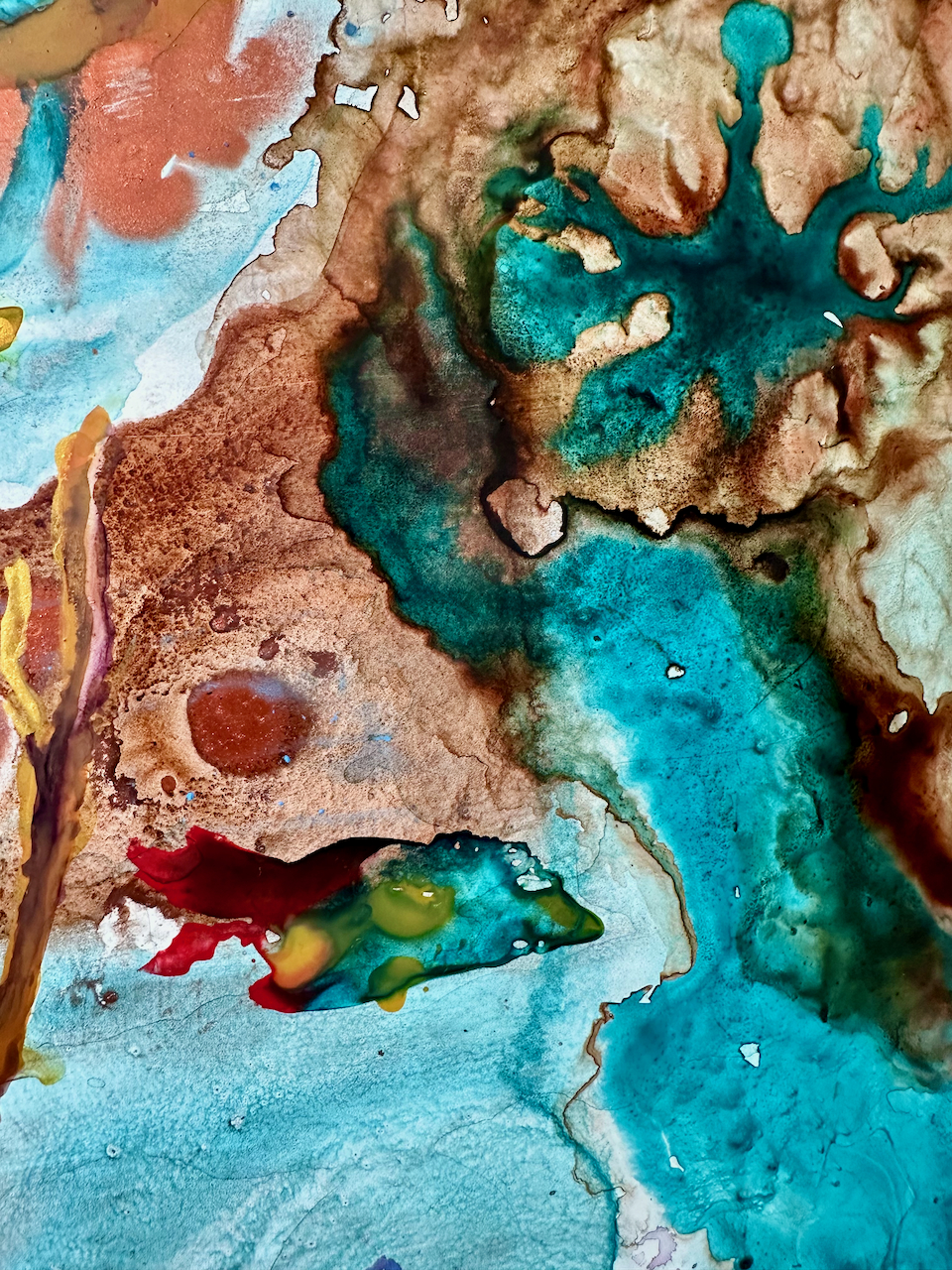 A vibrant underwater scene featuring colorful coral formations and marine life.