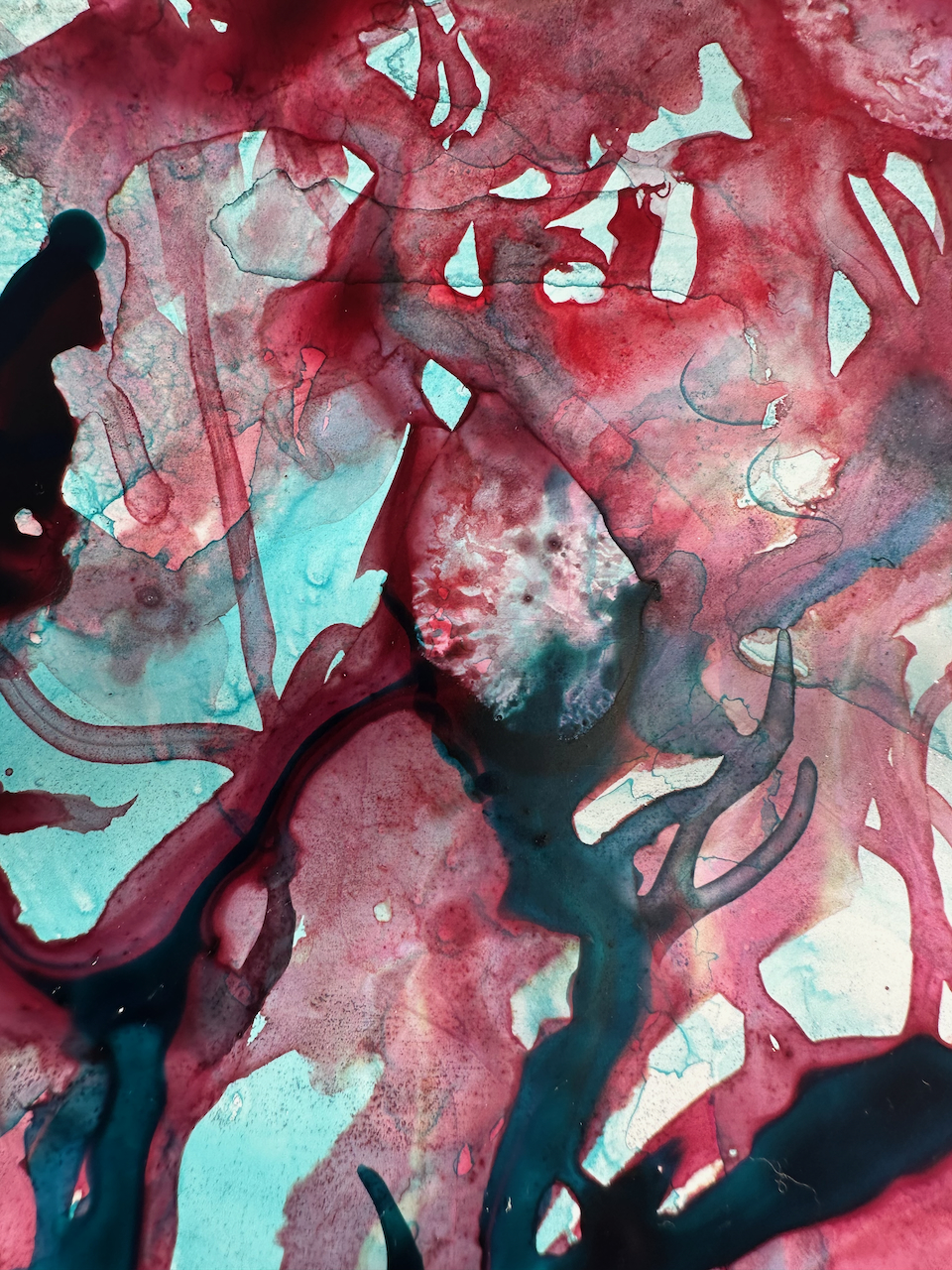 A vibrant underwater scene featuring colorful coral formations and marine life.
