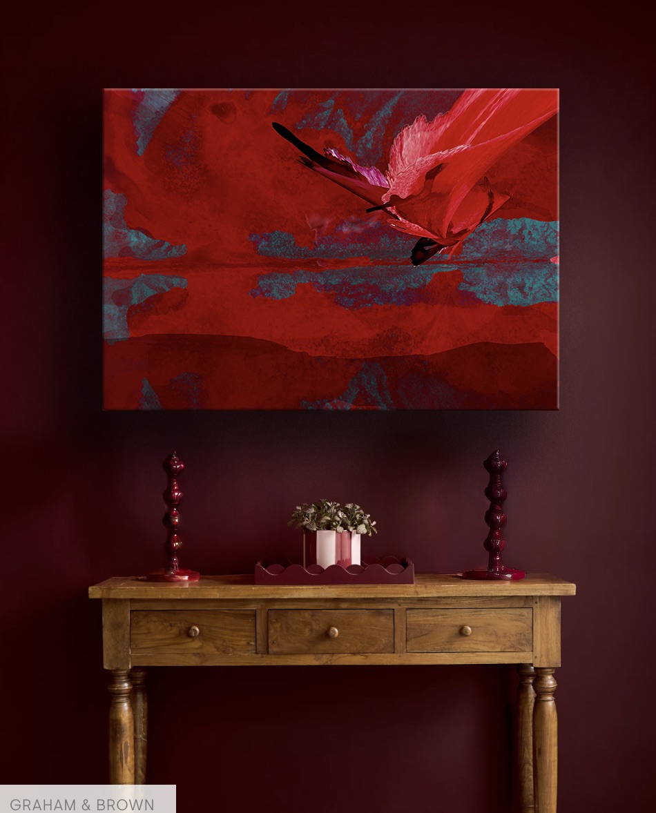 A dramatic abstract composition featuring a dark, feathered form against a vibrant red and teal background.