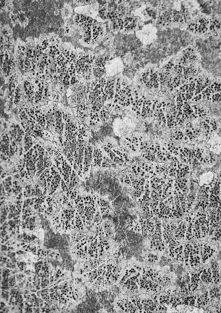 A black and white photo of a concrete wall.