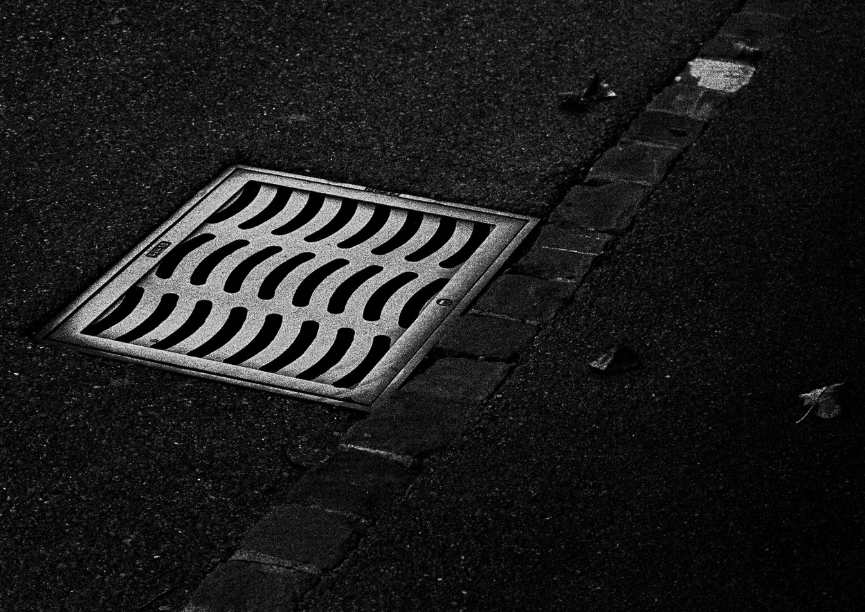 Grid by Charles Brabin, 2015