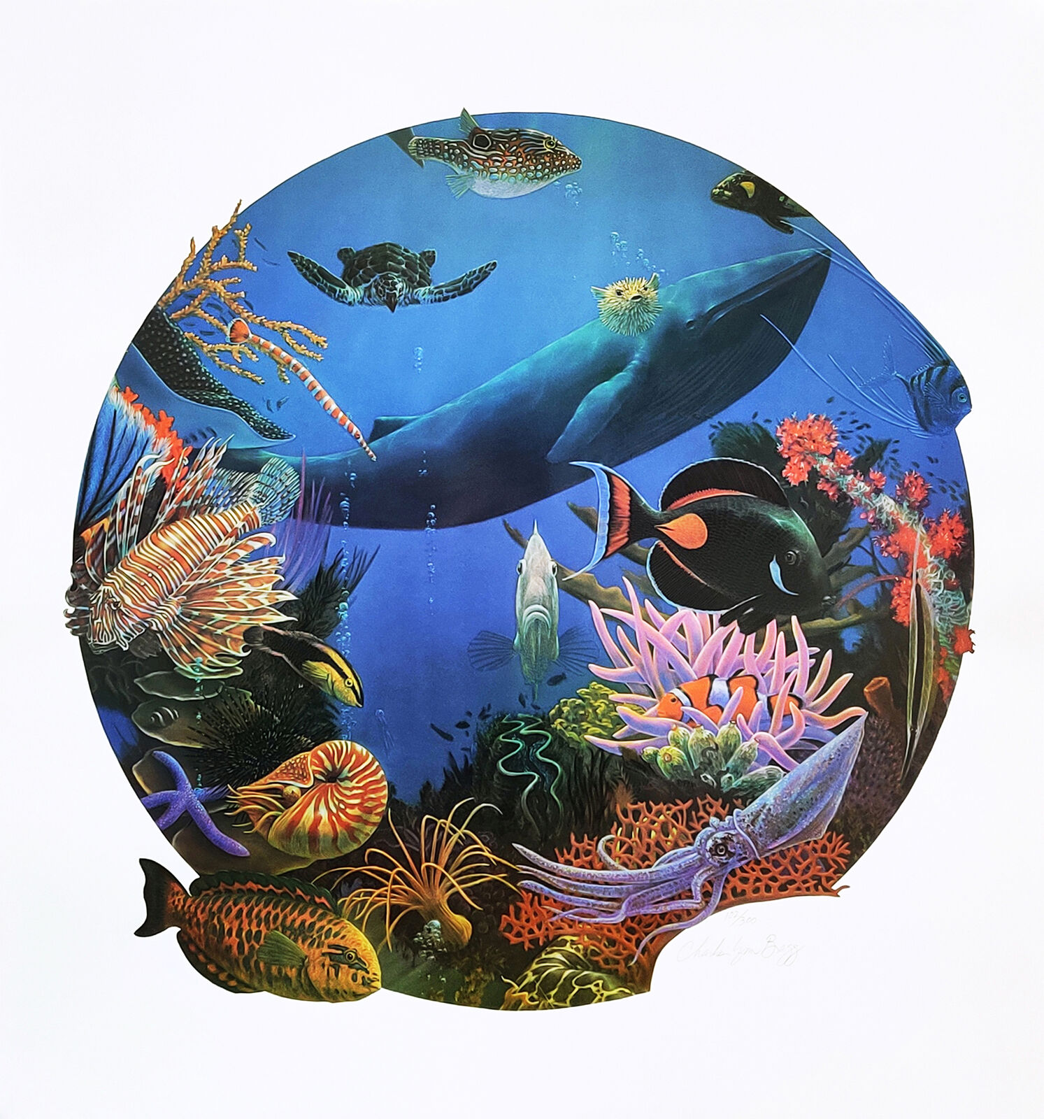 A painting of a whale surrounded by tropical fish and sea creatures.