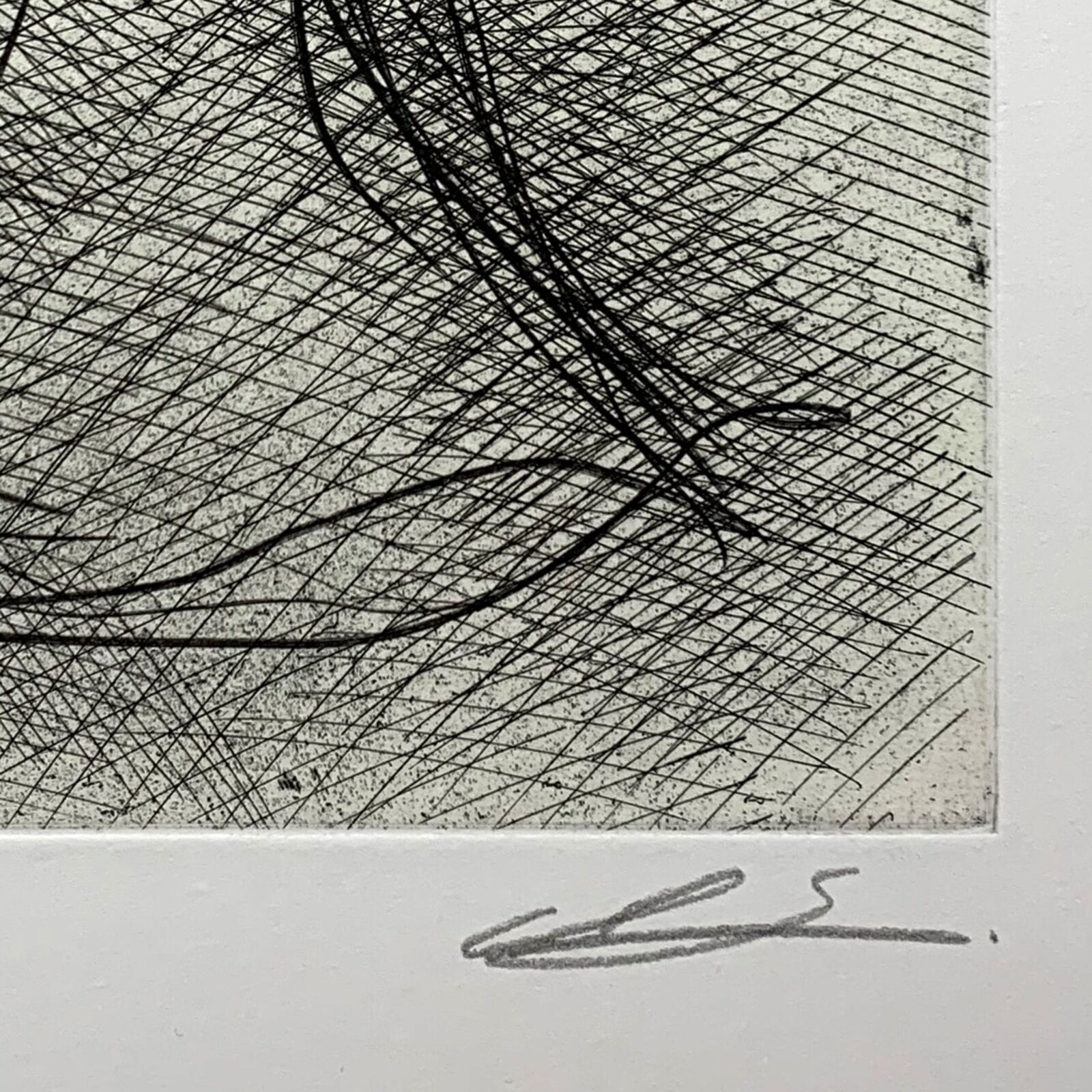 Artwork by Chiharu Shiota, Second Skin, Made of Photoengraving 
