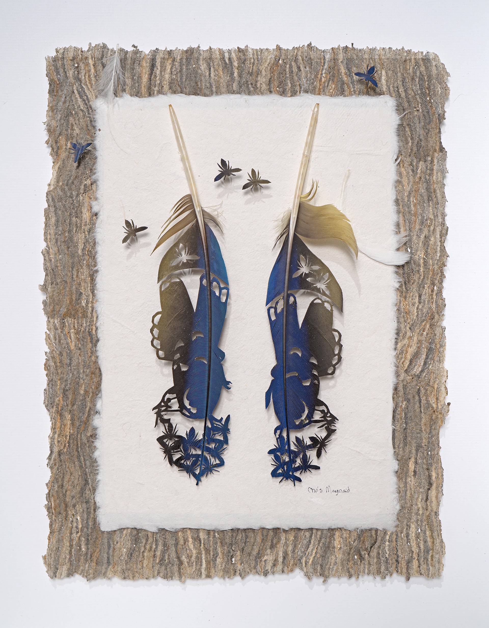 A picture of two blue and gold feathers on a piece of paper.