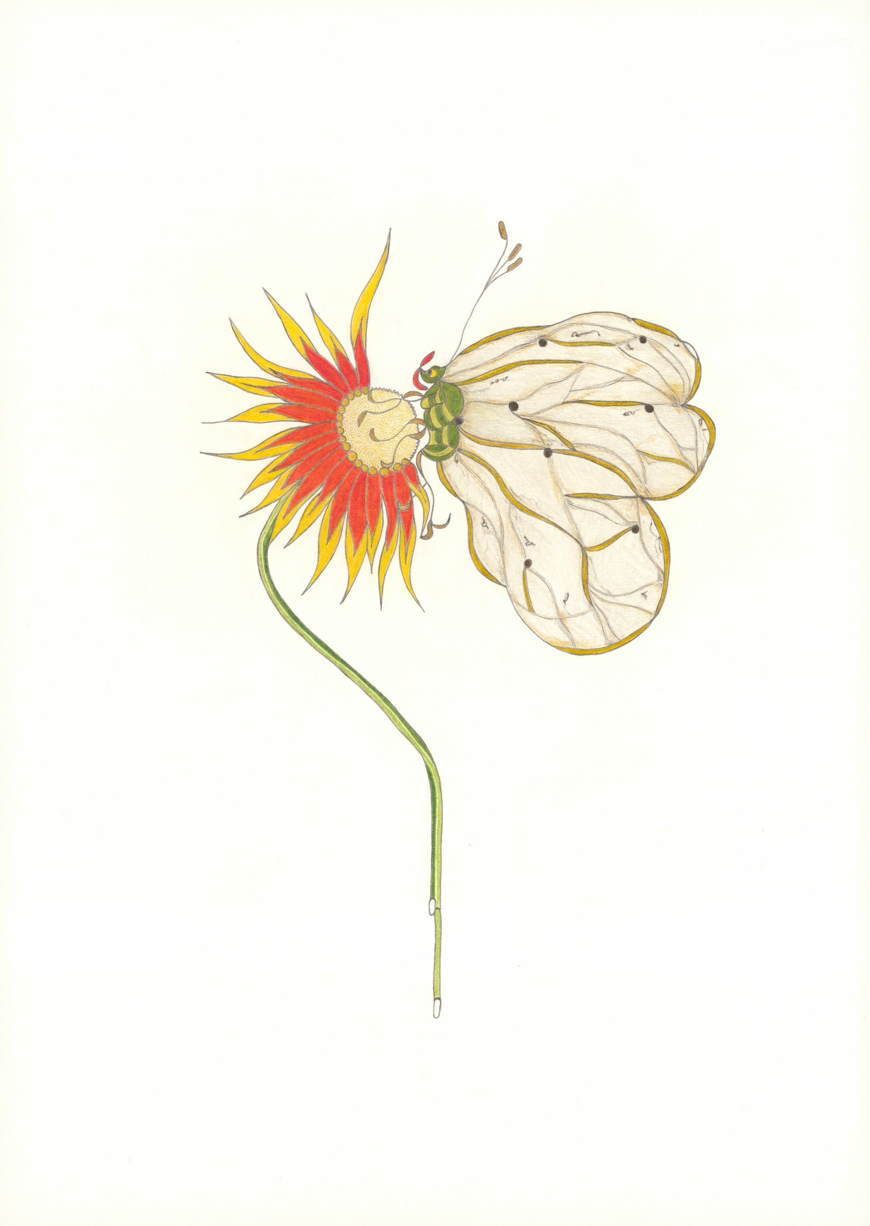 Untitled by Christa Wiener, 2025