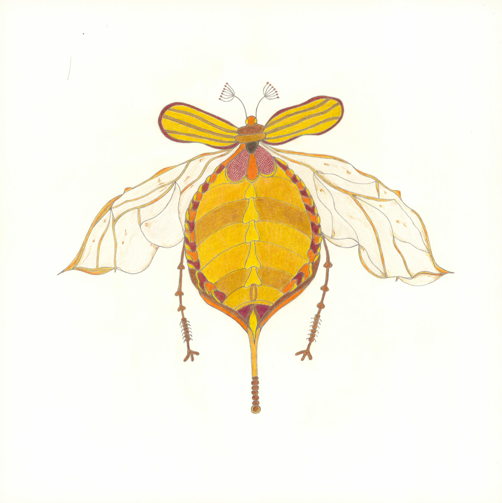 A drawing of a bee on a white background.