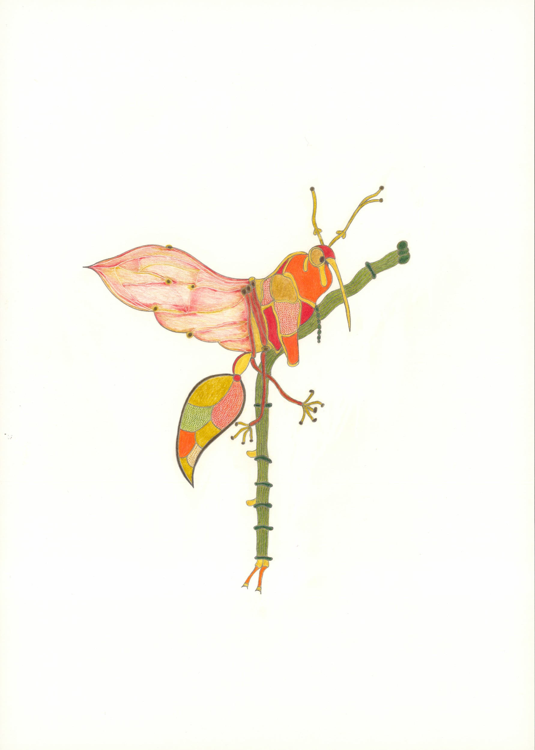 Untitled by Christa Wiener, 2025