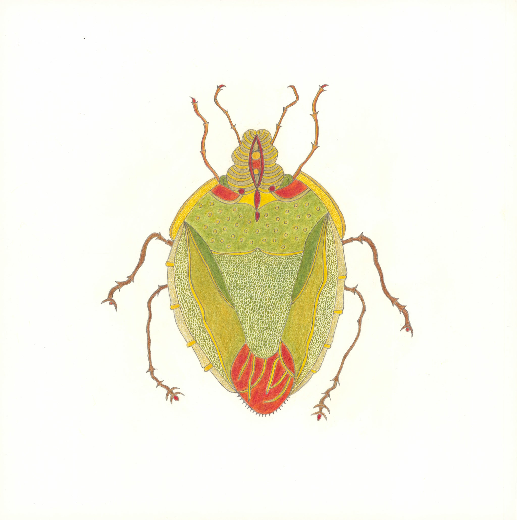 Untitled by Christa Wiener, 2025