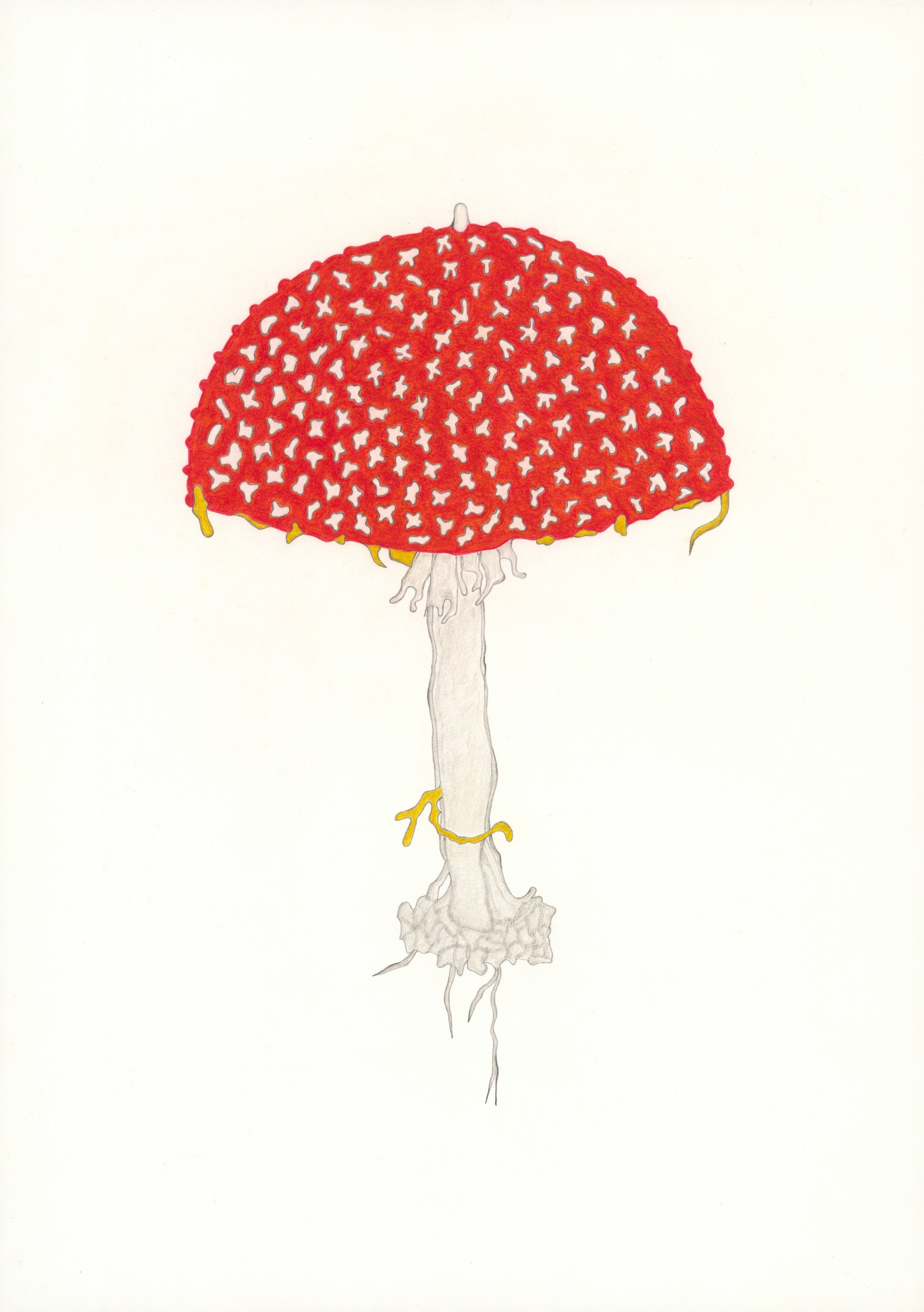 Untitled by Christa Wiener, 2022