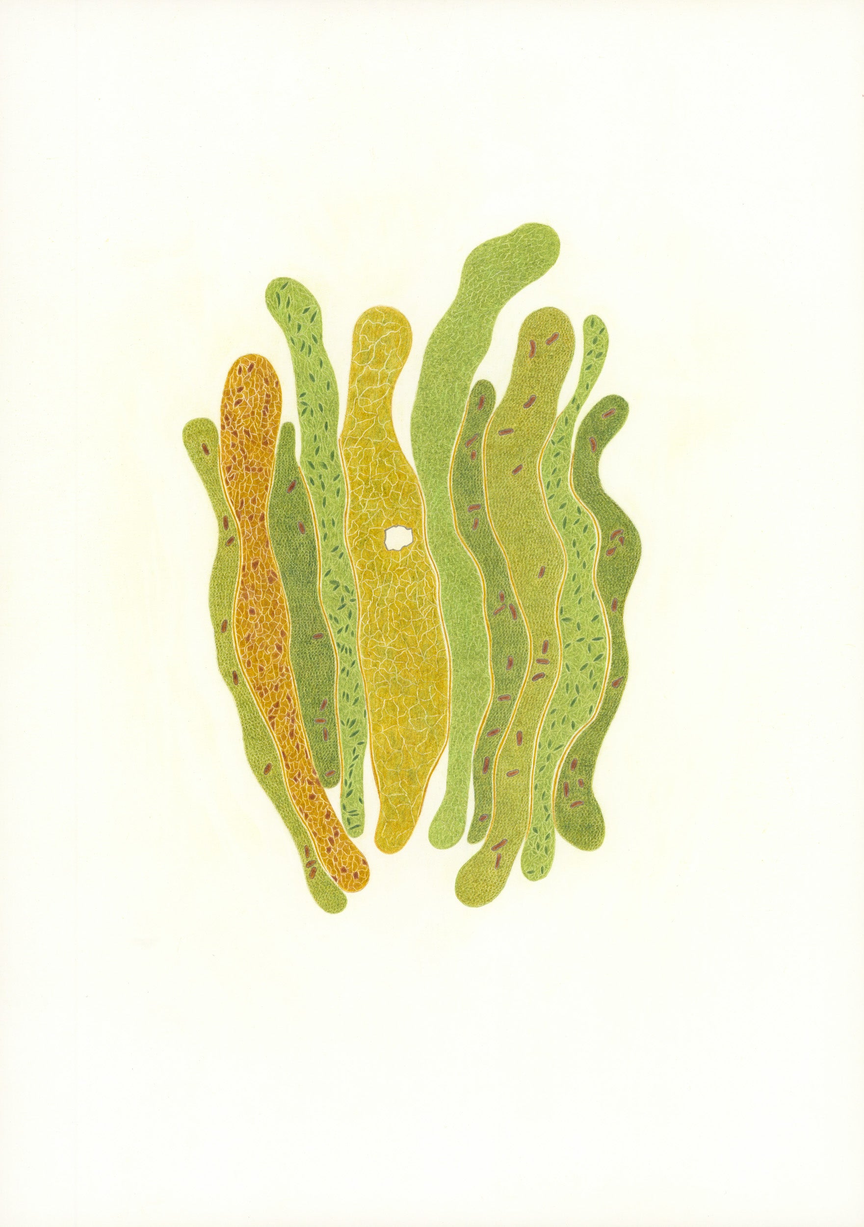 Untitled by Christa Wiener, 2023