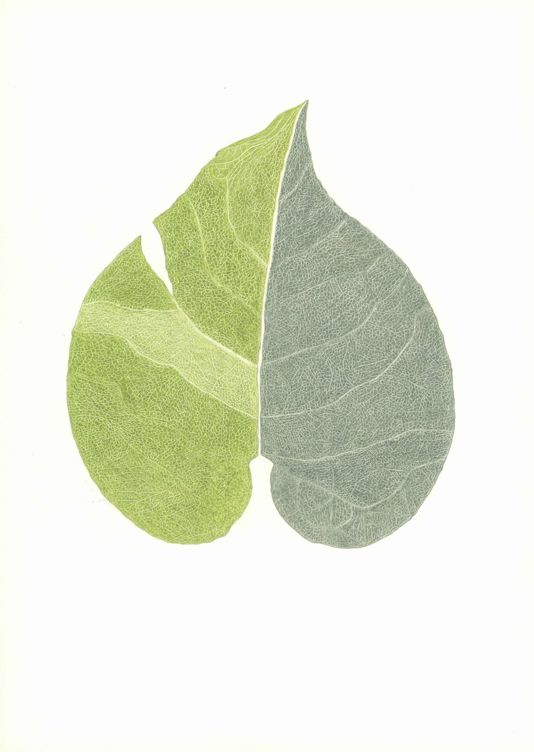 Untitled by Christa Wiener, 2018