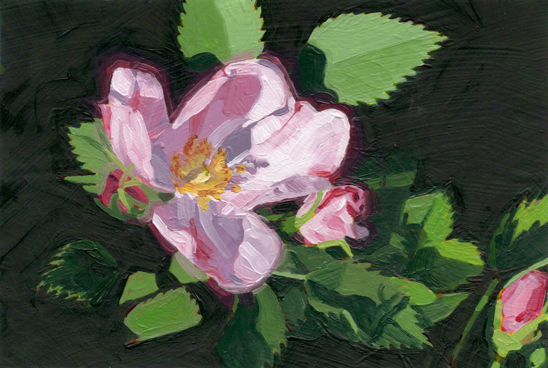A painting of a pink flower with green leaves.