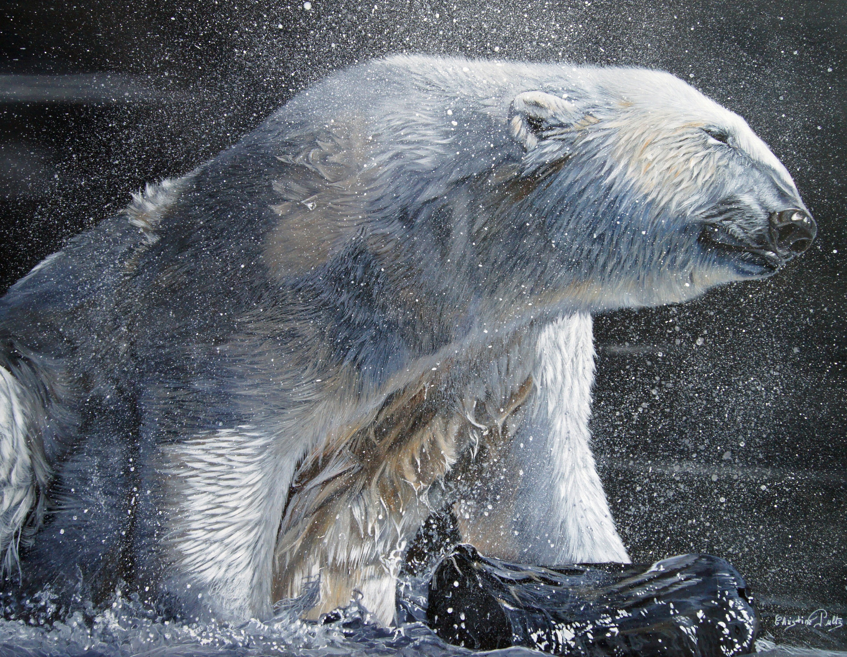 Christine Pultz | Seigneur de l'Arctique (2019) | MutualArt